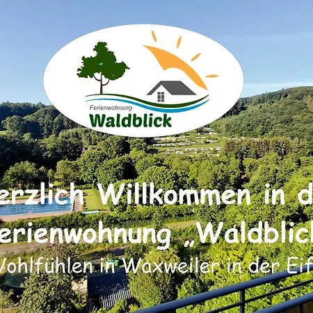 Waldblick *